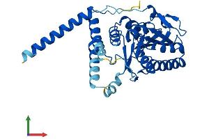 AlphaFold protein structure predicition of Human Recombinant ALG5 Protein, UniprotID Q9Y673 (ALG5 Protein (AA 1-324) (His tag))