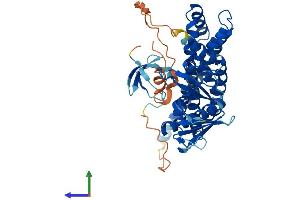 AlphaFold protein structure predicition of Mouse Recombinant Arhgef4 Protein, UniprotID Q7TNR9 (ARHGEF4 Protein (AA 1-484) (His tag))