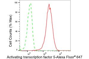 Flow cytometric analysis of Activating transcription factor 5 expression in HeLa cells using Activating transcription factor 5 antibody (ABIN7797484), 1:2,000). (Recombinant ATF5 antibody)