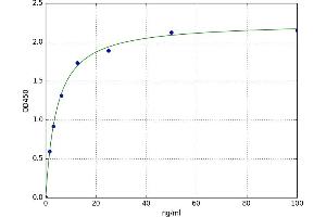A typical standard curve
