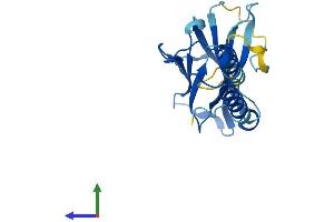 AlphaFold protein structure predicition of Human Recombinant HIKESHI Protein, UniprotID Q53FT3