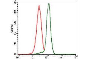 Flow cytometric analysis of HeLa cells using PPM1A mouse mAb (green) and negative control (red). (PPM1A antibody  (AA 202-382))