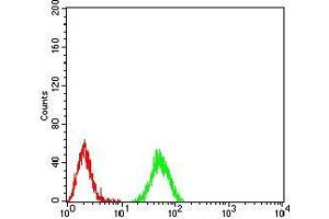 Flow cytometric analysis of *** cells using HIST2H3C(27Ac) mouse mAb (green) and negative control (red). (Histone Cluster 2, H3c (HIST2H3C) (acLys27) antibody)