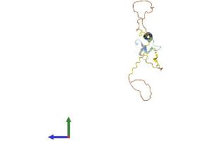 AlphaFold protein structure predicition of Human Recombinant TNFRSF17 Protein, UniprotID Q02223 (BCMA Protein (AA 1-184) (His tag))