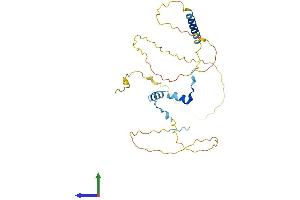 Protein Structure (PS) image for Coiled-Coil Domain Containing 117 (CCDC117) (AA 1-277) protein (His tag) (ABIN7558032)