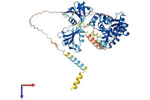 AlphaFold protein structure predicition of Human Recombinant WSCD2 Protein, UniprotID Q2TBF2 (WSCD2 Protein (AA 1-565) (His tag))