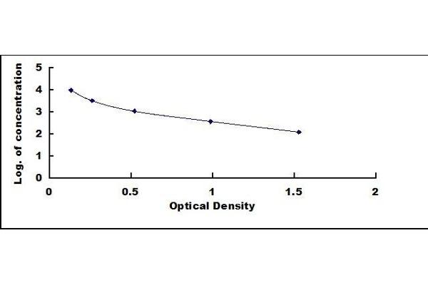 POMC ELISA Kit