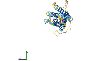 AlphaFold protein structure predicition of Mouse Recombinant Cacng1 Protein, UniprotID O70578 (CACNG1 Protein (AA 1-223) (His tag))