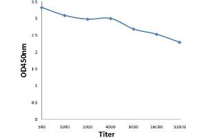 Antigen: 0. (HNRNPU antibody  (AA 1-40))