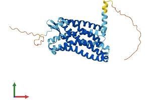 AlphaFold protein structure predicition of Human Recombinant CCR3 Protein, UniprotID P51677