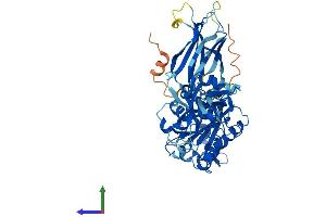 Protein Structure (PS) image for Copine IV (CPNE4) (AA 1-557) protein (His tag) (ABIN7546719)