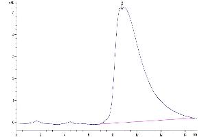 Size-exclusion chromatography-High Pressure Liquid Chromatography (SEC-HPLC) image for Placenta Growth Factor (PGF) (AA 19-221) protein (Fc Tag) (ABIN7275444)