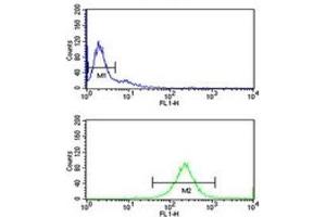 C7 antibody flow cytometry analysis of Ramos cells (green) compared to a negative control (blue). (C7 antibody  (AA 375-403))