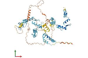 AlphaFold protein structure predicition of Human Recombinant ZFP90 Protein, UniprotID Q8TF47