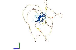 Protein Structure (PS) image for Forkhead Box Q1 (FOXQ1) (AA 1-400) protein (His tag) (ABIN7562520)