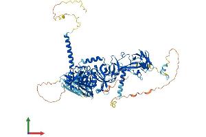 AlphaFold protein structure predicition of Mouse Recombinant Tsr1 Protein, UniprotID Q5SWD9