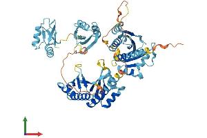 AlphaFold protein structure predicition of Mouse Recombinant Igf2bp3 Protein, UniprotID Q9CPN8