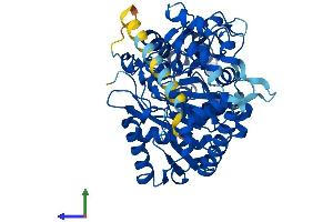 Protein Structure (PS) image for Fatty Acid Amide Hydrolase 2 (FAAH2) (AA 1-532) protein (His tag) (ABIN7547556)