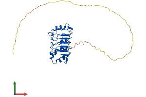AlphaFold protein structure predicition of Human Recombinant ANP32A Protein, UniprotID P39687