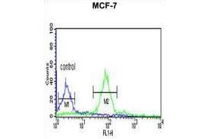 Flow Cytometry (FACS) image for anti-Histone H2A Type 1-H (HIST1H2AH) antibody (ABIN3003926) (HIST1H2AH antibody)