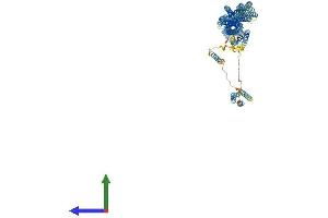 Protein Structure (PS) image for Chromosome 14 Open Reading Frame 49 (C14orf49) (AA 1-975) protein (His tag) (ABIN7555675)