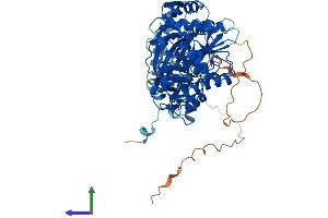 Protein Structure (PS) image for Cbl-Interacting Protein Sts-1 (STS1) (AA 1-649) protein (His tag) (ABIN7555929)