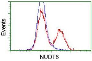 HEK293T cells transfected with either RC203470 overexpress plasmid (Red) or empty vector control plasmid (Blue) were immunostained by anti-NUDT6 antibody (ABIN2454159), and then analyzed by flow cytometry. (NUDT6 antibody)