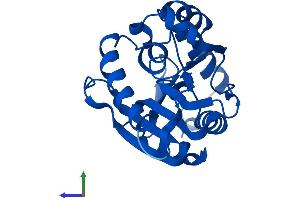 AlphaFold protein structure predicition of Mouse Recombinant Ntmt1 Protein, UniprotID Q8R2U4 (METTL11A Protein (AA 1-223) (His tag))
