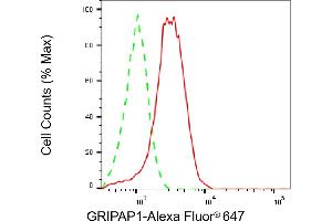 Flow cytometric analysis of GRIPAP1 expression in HepG2 cells using GRIPAP1 antibody (ABIN7798803), 1:2,000).