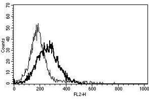 A typical staining pattern with the B-S23 monoclonal antibody of IFNa2+CD3 mAb+CD28 mAb activated lymphocytes (TRAIL antibody  (Biotin))