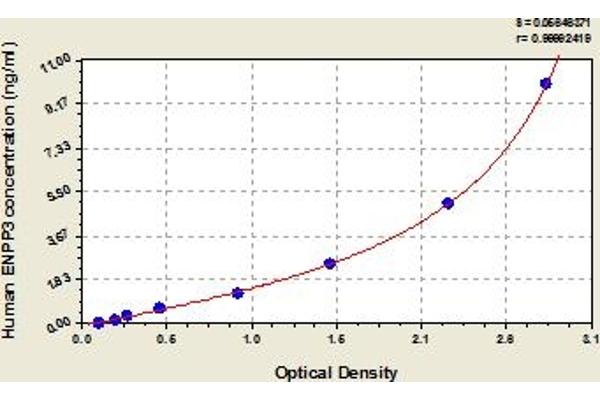 ENPP3 ELISA Kit