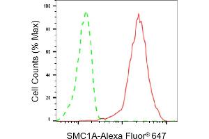 Flow cytometric analysis of SMC1A expression in HepG2 cells using SMC1A antibody (ABIN7800446), 1:2,000).