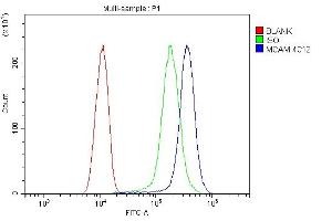 Flow Cytometry analysis of SiHa cells using anti- CD146/MCAM antibody (ABIN7602098). (MCAM antibody  (AA 59-401))