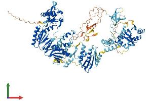 AlphaFold protein structure predicition of Human Recombinant ERVK-11 Protein, UniprotID Q9UQG0 (ERVK-11 Protein (AA 1-969) (His tag))