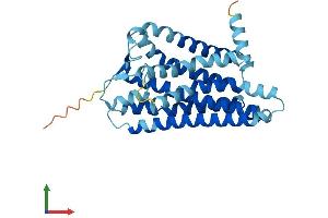 AlphaFold protein structure predicition of Human Recombinant OR51A2 Protein, UniprotID Q8NGJ7 (OR51A2 Protein (AA 1-313) (His tag))