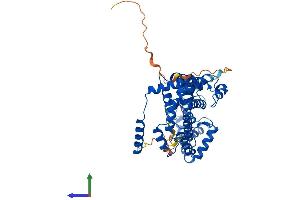 Protein Structure (PS) image for Regulator of G-Protein Signaling 11 (RGS11) (AA 1-467) protein (His tag) (ABIN7551379)