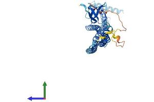 Protein Structure (PS) image for Endophilin-A1 (SH3G2) (AA 1-352) protein (His tag) (ABIN7546052)