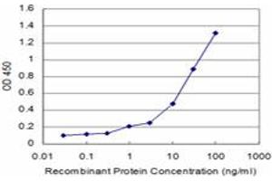 Detection limit for recombinant GST tagged CALCA is approximately 1ng/ml as a capture antibody. (CGRP antibody  (AA 52-141))