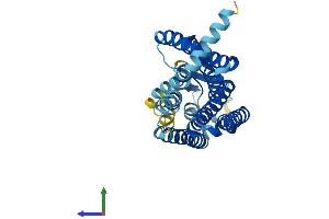 AlphaFold protein structure predicition of Human Recombinant OR5M9 Protein, UniprotID Q8NGP3 (OR5M9 Protein (AA 1-310) (His tag))