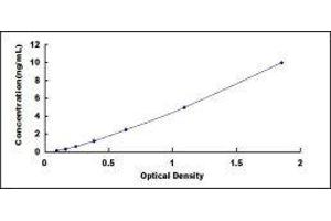 Homeodomain Interacting Protein Kinase 2 (HIPK2) ELISA Kit