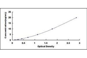 Typical standard curve (HTR2C ELISA Kit)