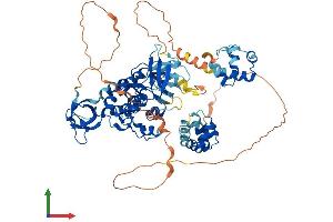 AlphaFold protein structure predicition of Mouse Recombinant Tnk1 Protein, UniprotID Q99ML2 (TNK1 Protein (AA 1-666) (His tag))