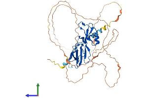 AlphaFold protein structure predicition of Mouse Recombinant Gcm1 Protein, UniprotID P70348 (GCM1 Protein (AA 1-436) (His tag))