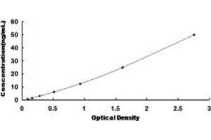 Typical standard curve (CD200R1L ELISA Kit)