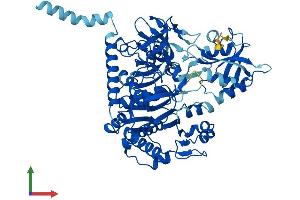 AlphaFold protein structure predicition of Human Recombinant SLC27A2 Protein, UniprotID O14975