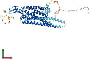 AlphaFold protein structure predicition of Human Recombinant NMUR1 Protein, UniprotID Q9HB89