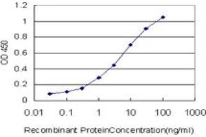 Detection limit for recombinant GST tagged CENTB2 is approximately 0. (Centaurin beta 2 antibody  (AA 473-581))