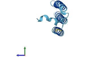 AlphaFold protein structure predicition of Mouse Recombinant Mtnd4l Protein, UniprotID P03903 (MT-ND4L Protein (AA 1-98) (His tag))