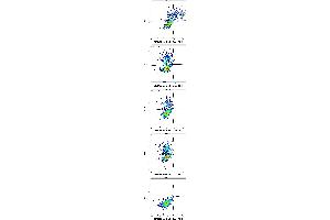 Flow cytometry surface staining patterns of non-transfected HEK-293 cells and HEK-293 cells transfected with KIR-family coding plasmids co-transfected with YFP coding plasmid using anti-human CD158f (UP-R1) purified antibody (concentration in sample 4 μg/mL, GAM APC). (KIR2DL5A antibody)