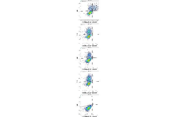 KIR2DL5A antibody